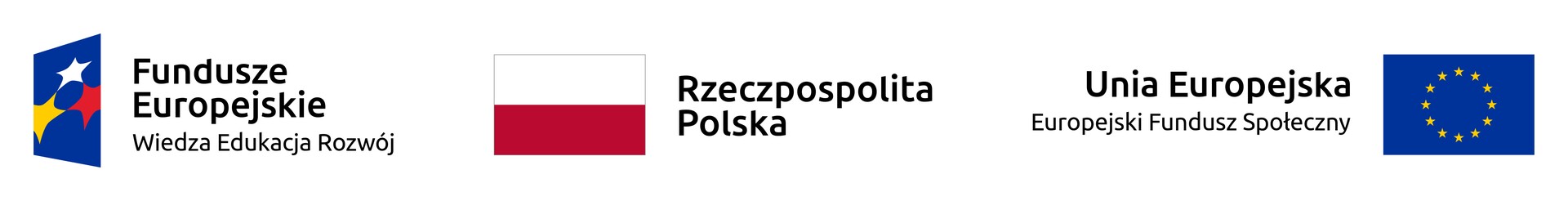 fe_power_poziom_pl-1_rgb.jpg